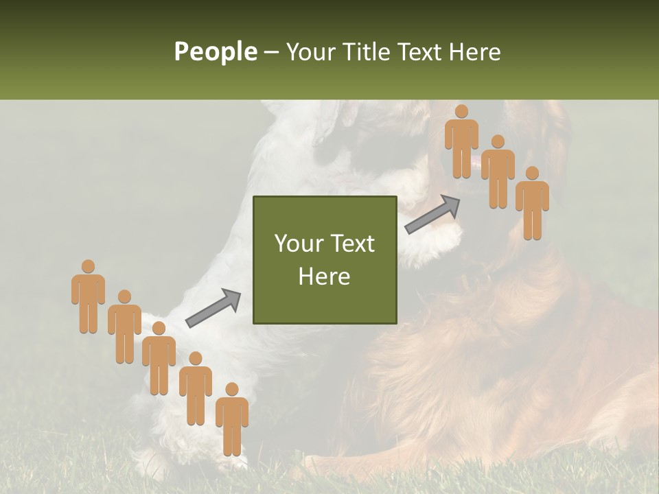 Pedigreed Retriever Flirtation PowerPoint Template