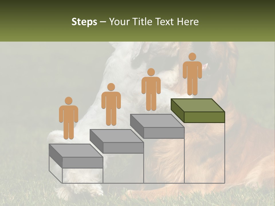 Pedigreed Retriever Flirtation PowerPoint Template