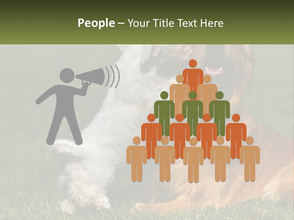 Pedigreed Retriever Flirtation PowerPoint Template