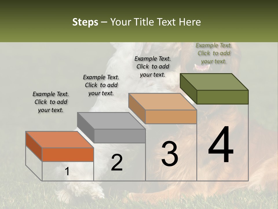 Pedigreed Retriever Flirtation PowerPoint Template