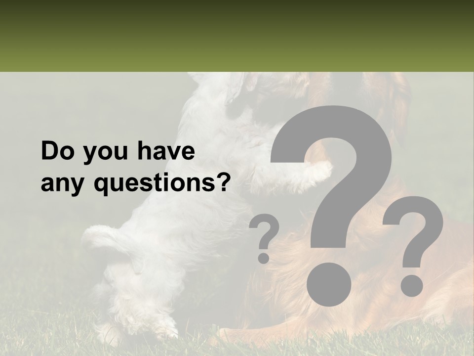Pedigreed Retriever Flirtation PowerPoint Template