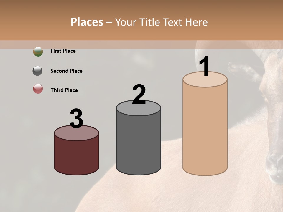 Mammal Ungulate Male PowerPoint Template