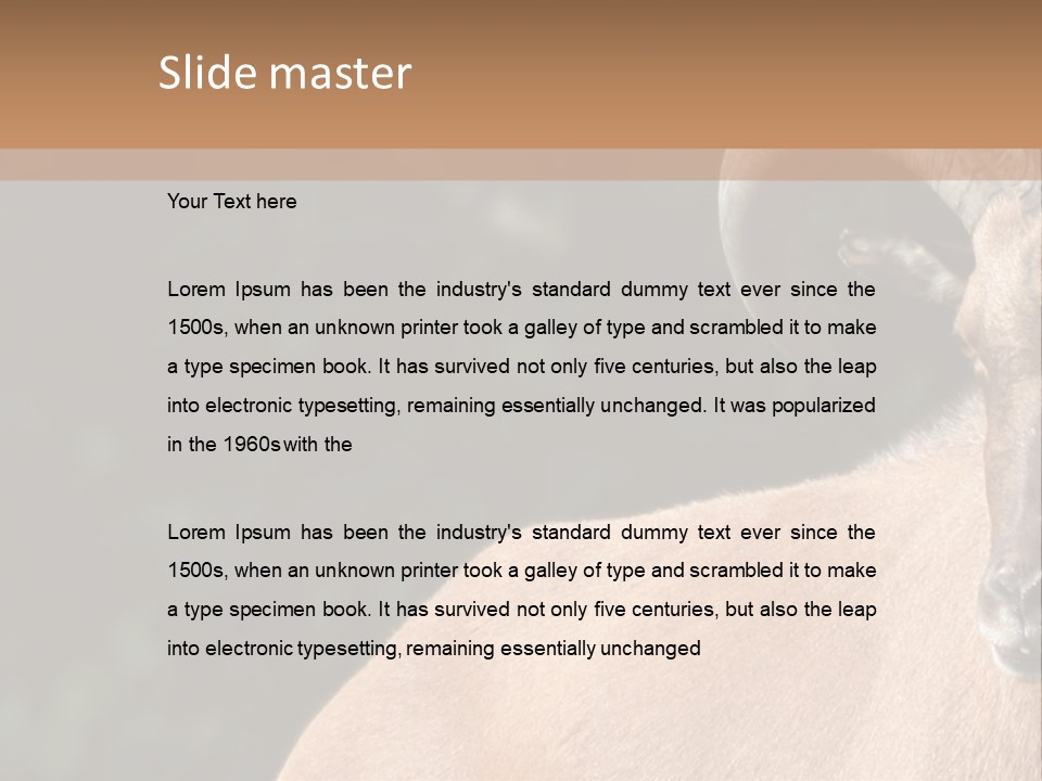 Mammal Ungulate Male PowerPoint Template