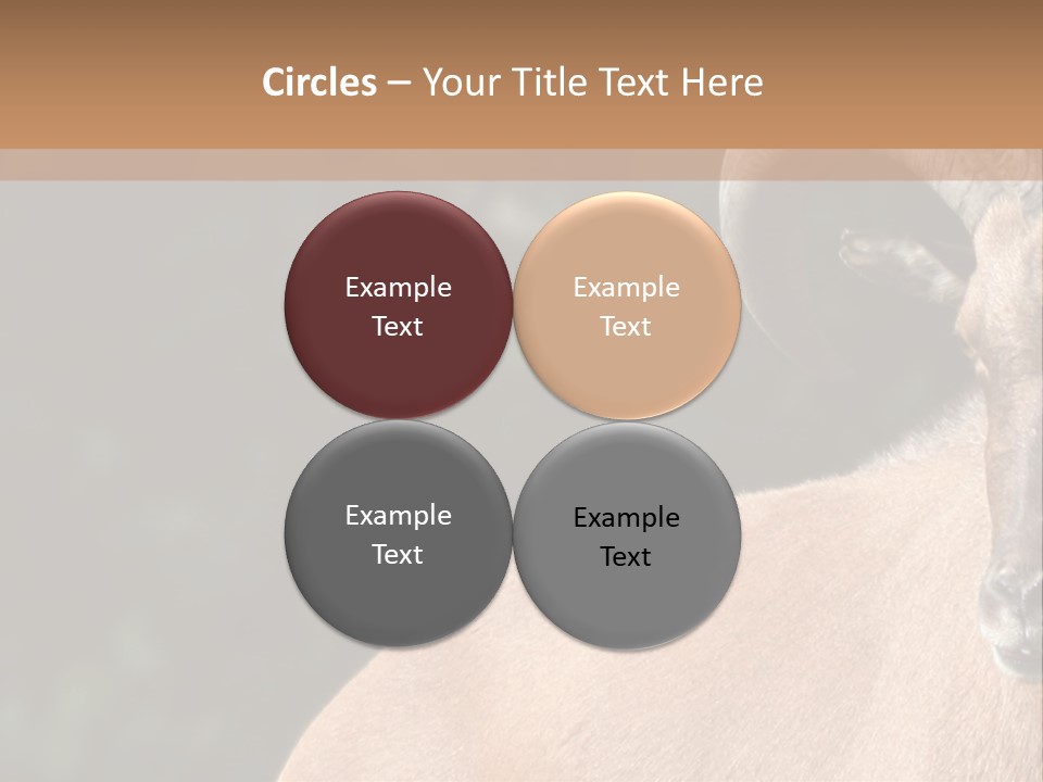 Mammal Ungulate Male PowerPoint Template