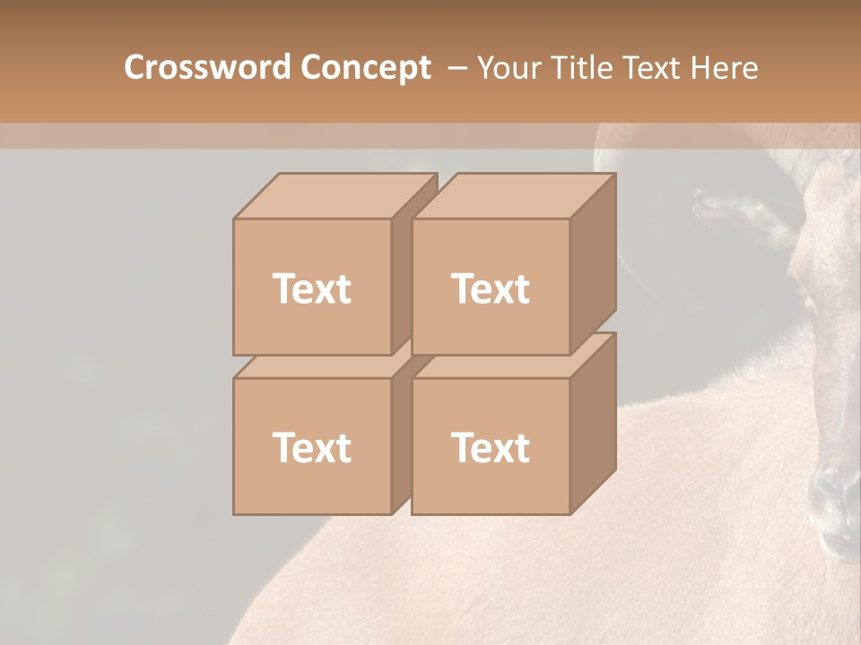 Mammal Ungulate Male PowerPoint Template