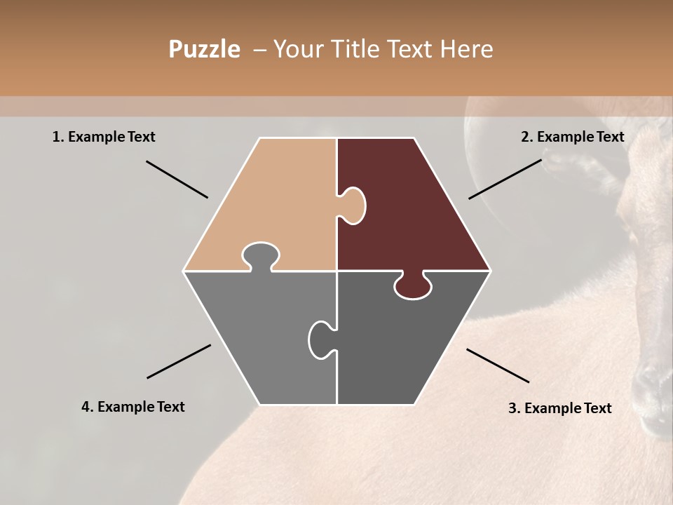 Mammal Ungulate Male PowerPoint Template