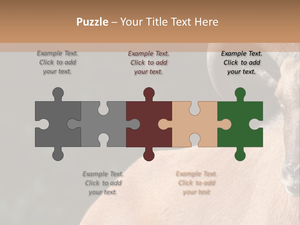 Mammal Ungulate Male PowerPoint Template