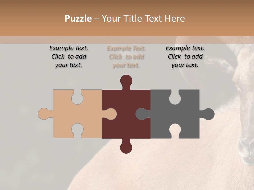 Mammal Ungulate Male PowerPoint Template