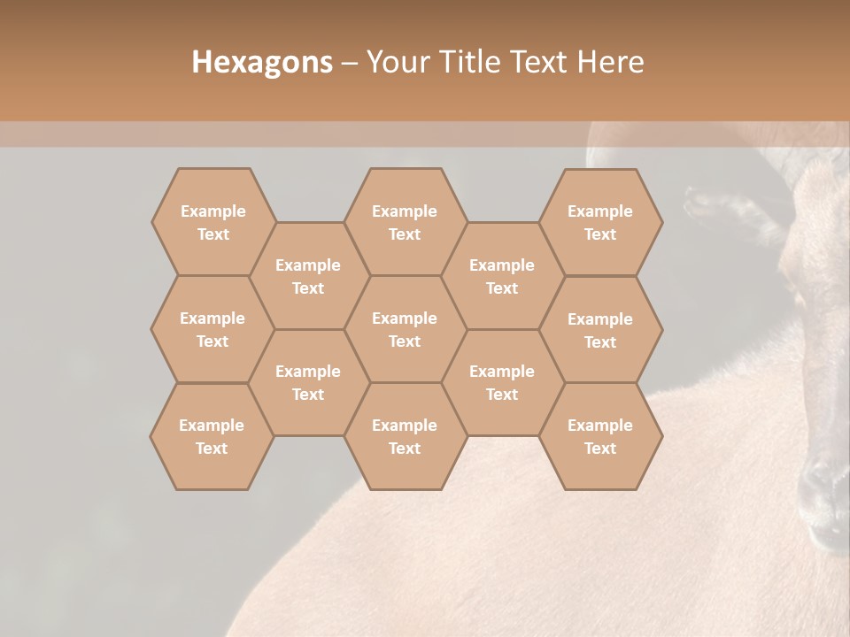 Mammal Ungulate Male PowerPoint Template