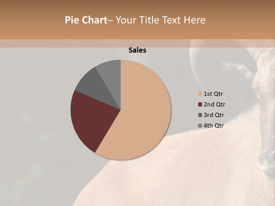 Mammal Ungulate Male PowerPoint Template