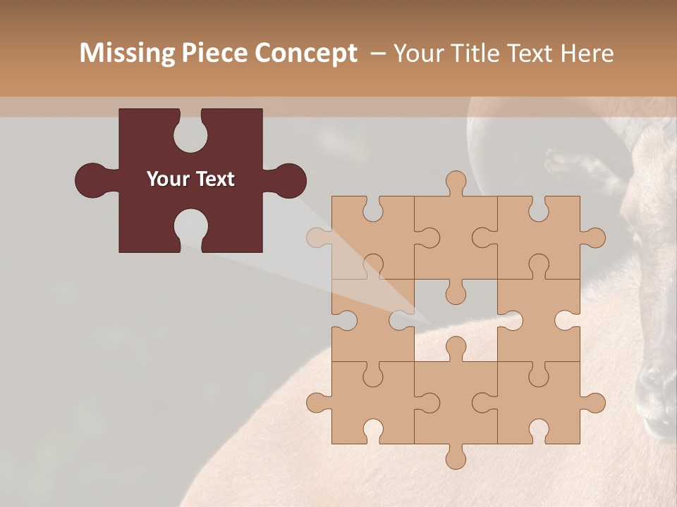 Mammal Ungulate Male PowerPoint Template