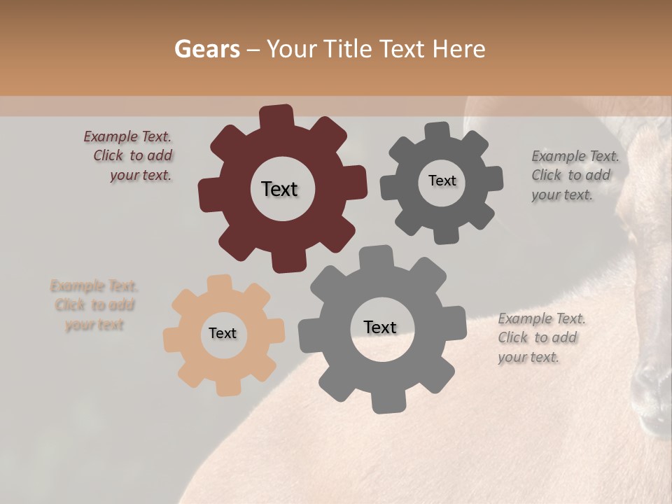 Mammal Ungulate Male PowerPoint Template