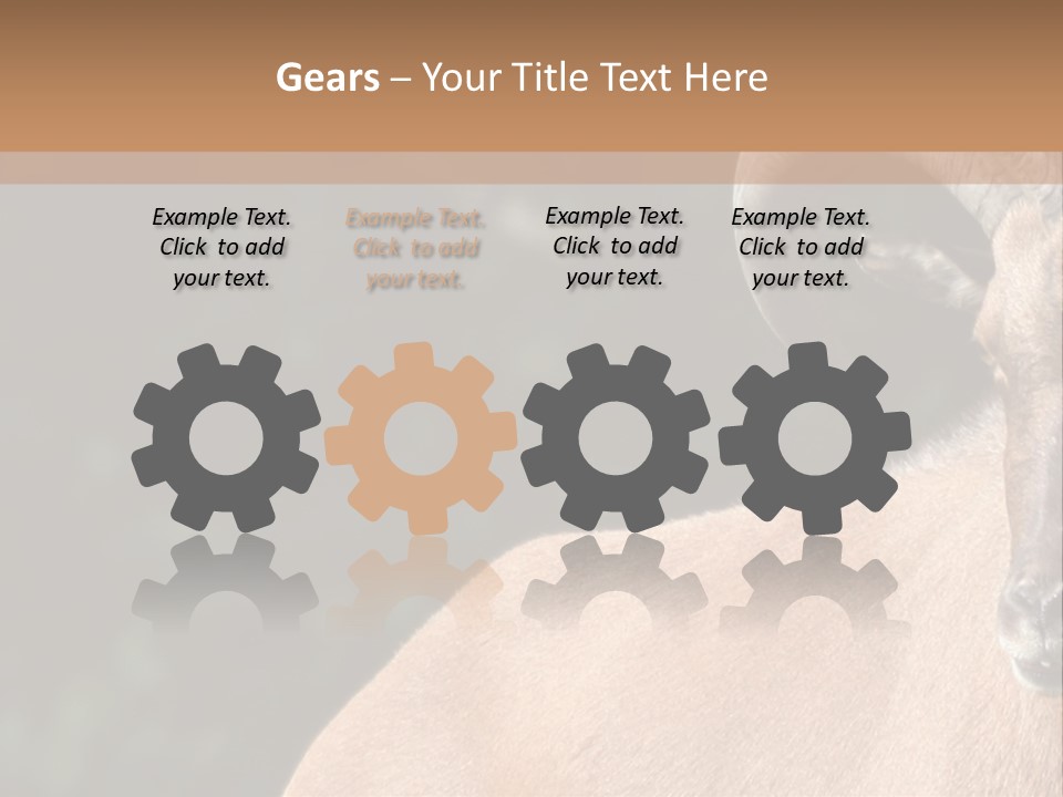 Mammal Ungulate Male PowerPoint Template