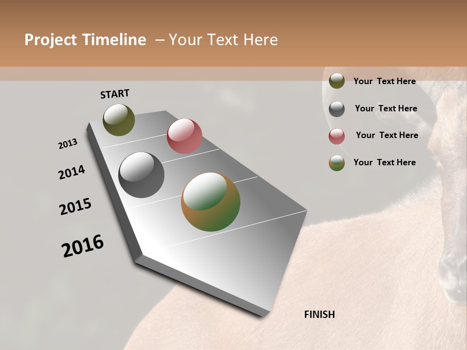 Mammal Ungulate Male PowerPoint Template
