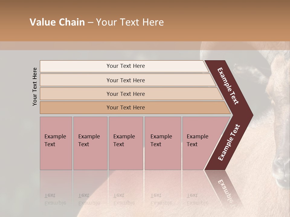 Mammal Ungulate Male PowerPoint Template