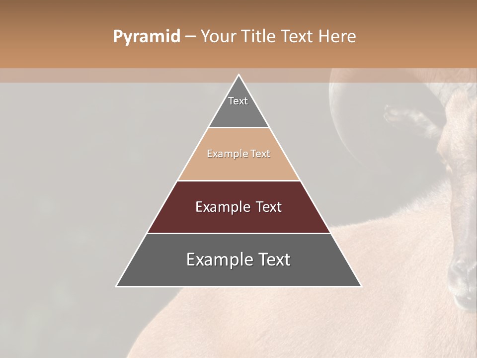 Mammal Ungulate Male PowerPoint Template