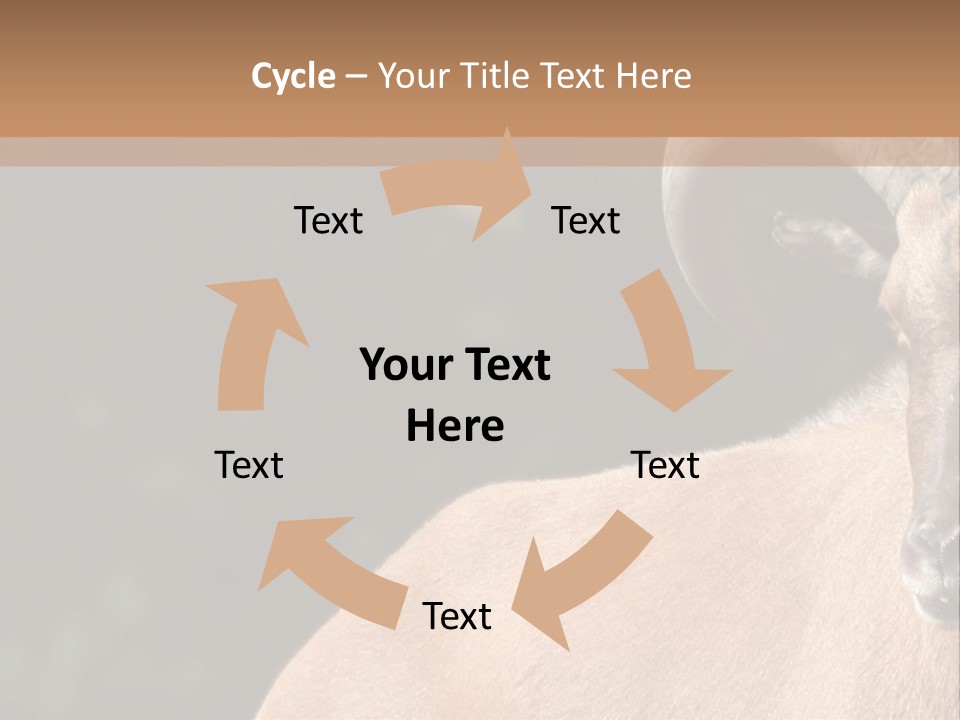 Mammal Ungulate Male PowerPoint Template
