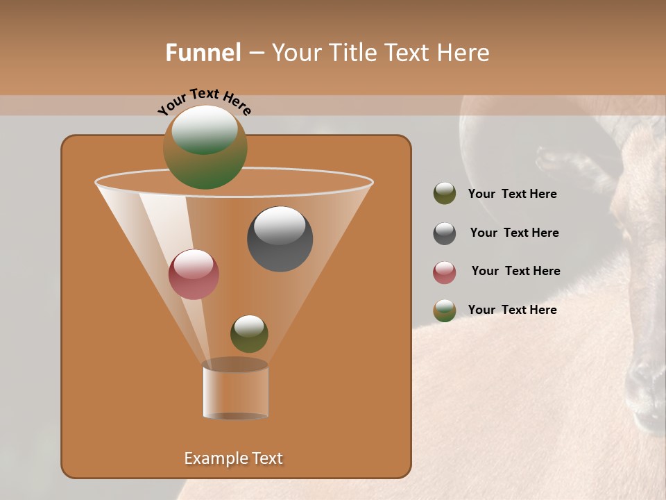 Mammal Ungulate Male PowerPoint Template