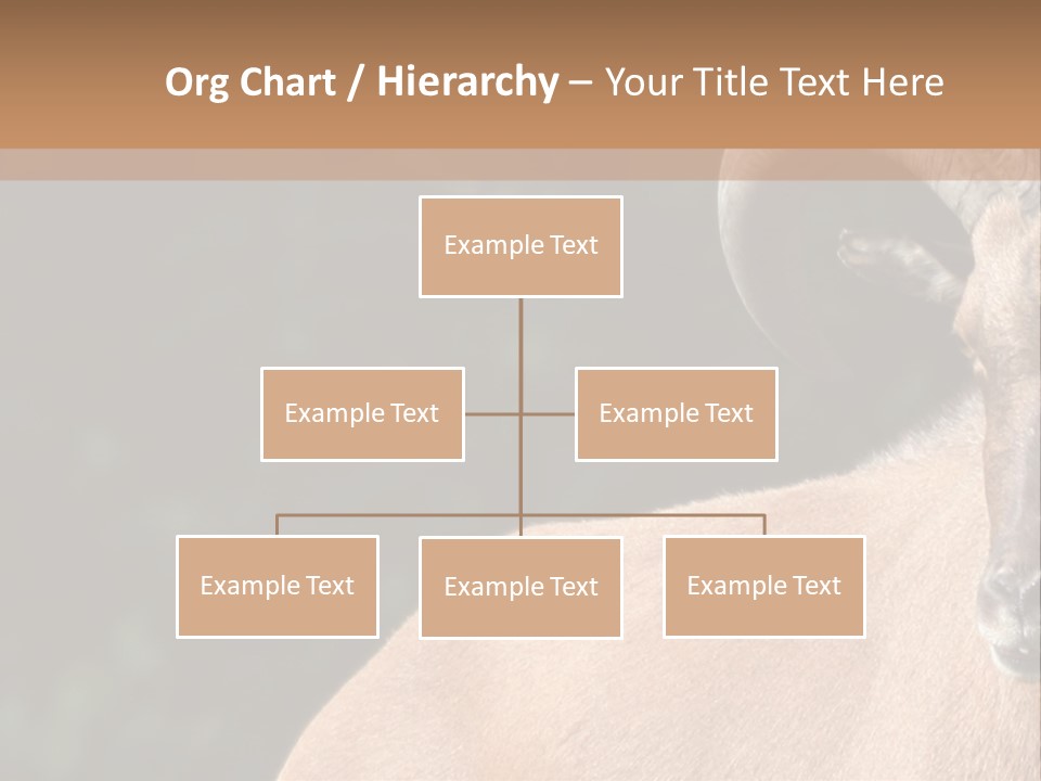 Mammal Ungulate Male PowerPoint Template