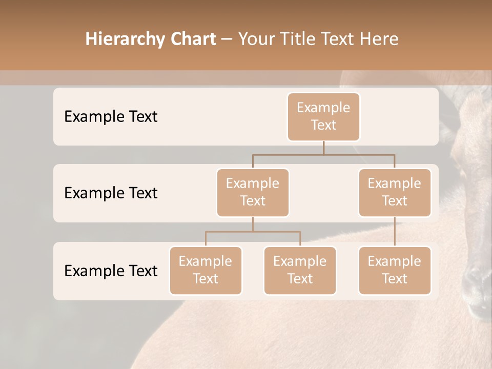 Mammal Ungulate Male PowerPoint Template