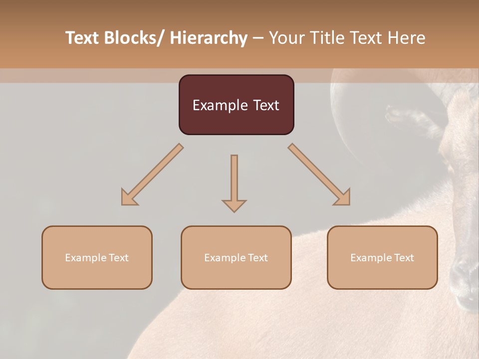 Mammal Ungulate Male PowerPoint Template