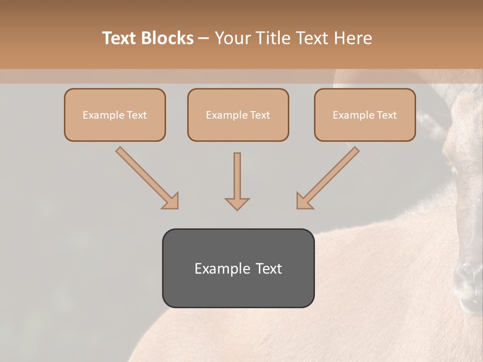 Mammal Ungulate Male PowerPoint Template