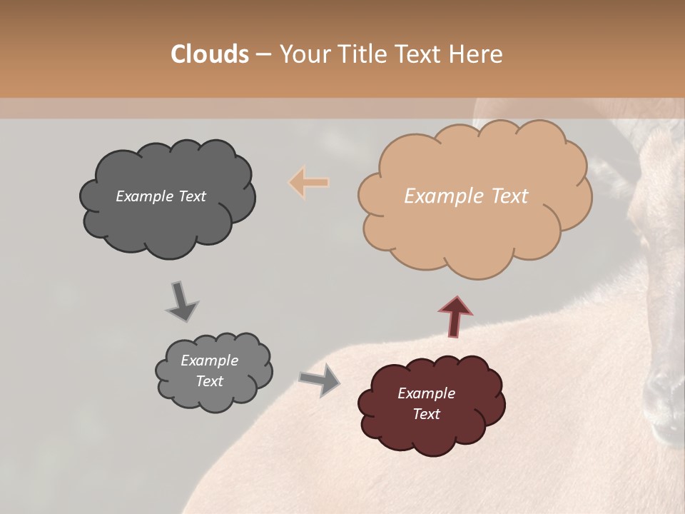 Mammal Ungulate Male PowerPoint Template