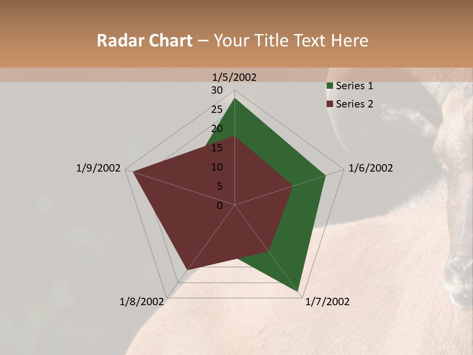 Mammal Ungulate Male PowerPoint Template