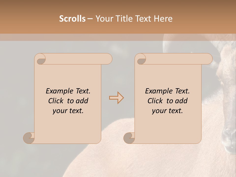 Mammal Ungulate Male PowerPoint Template