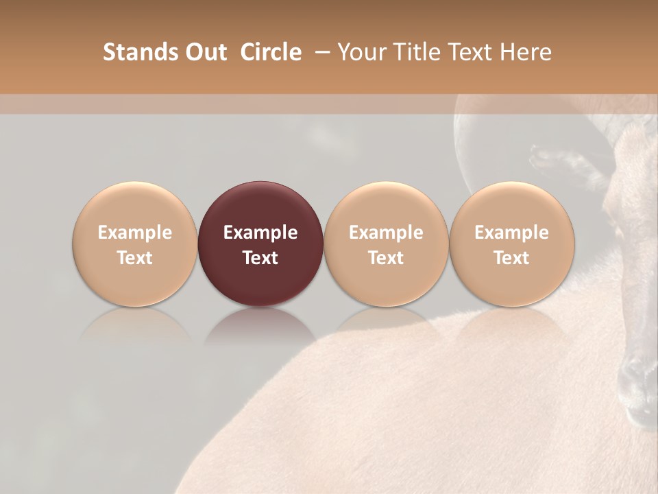 Mammal Ungulate Male PowerPoint Template