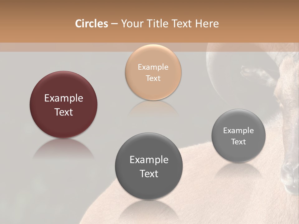 Mammal Ungulate Male PowerPoint Template