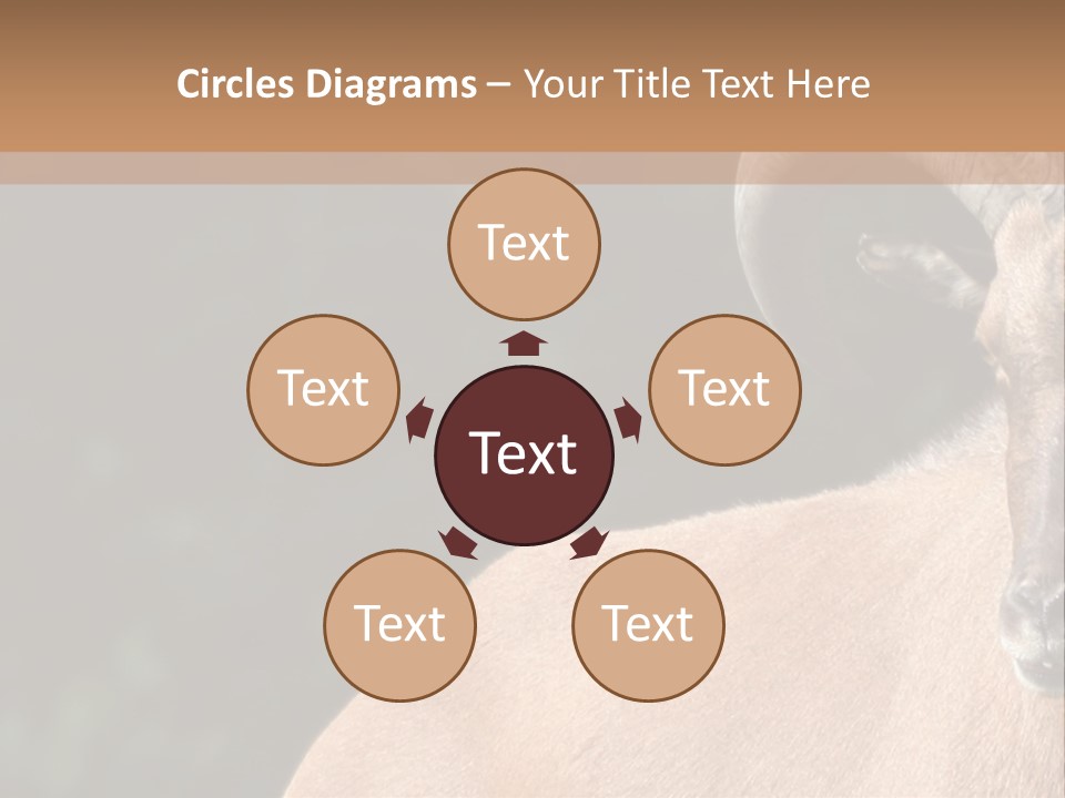 Mammal Ungulate Male PowerPoint Template