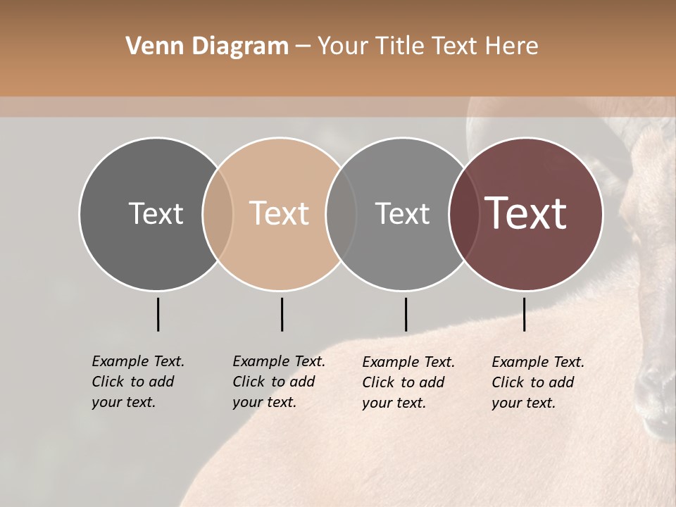 Mammal Ungulate Male PowerPoint Template