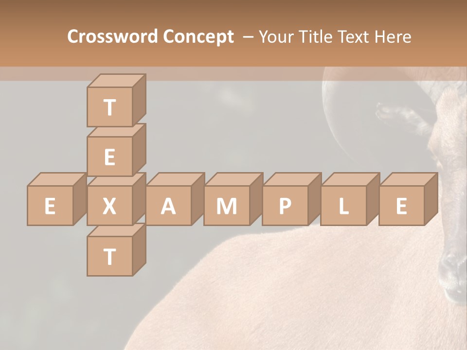 Mammal Ungulate Male PowerPoint Template