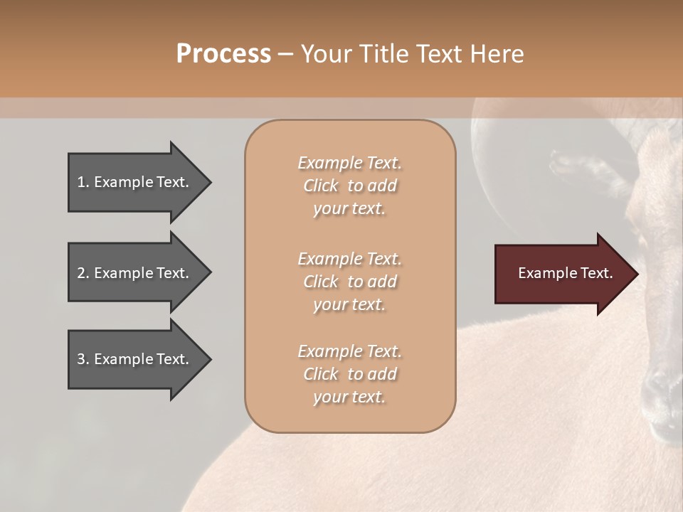 Mammal Ungulate Male PowerPoint Template