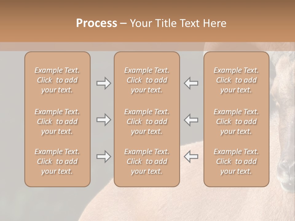 Mammal Ungulate Male PowerPoint Template