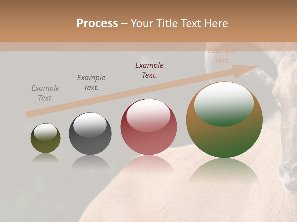 Mammal Ungulate Male PowerPoint Template