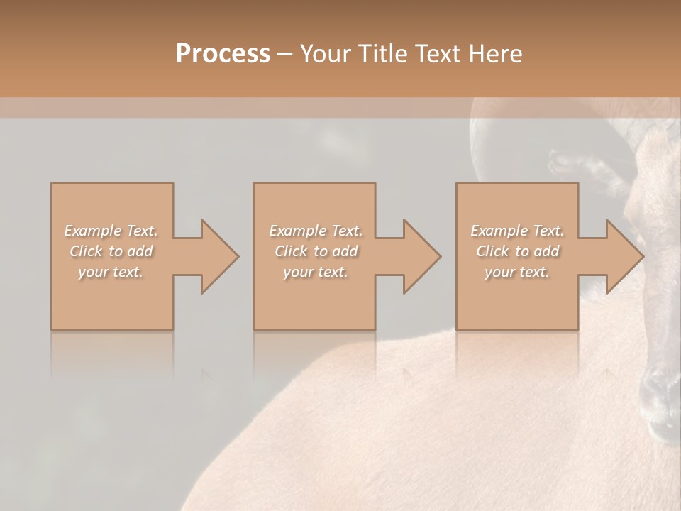 Mammal Ungulate Male PowerPoint Template