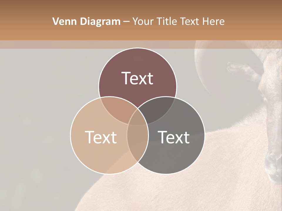 Mammal Ungulate Male PowerPoint Template