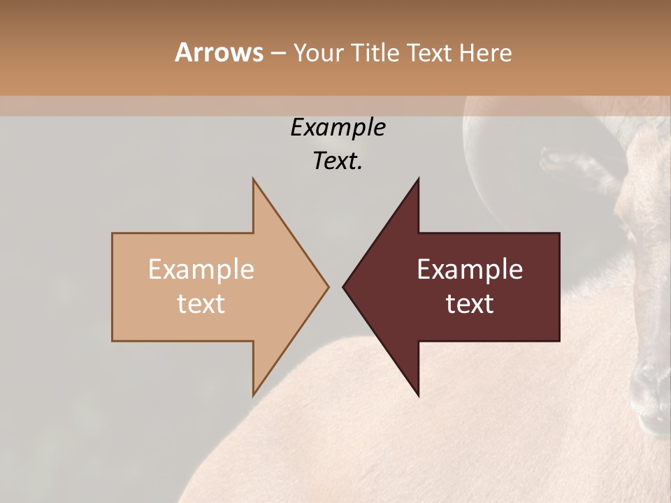 Mammal Ungulate Male PowerPoint Template