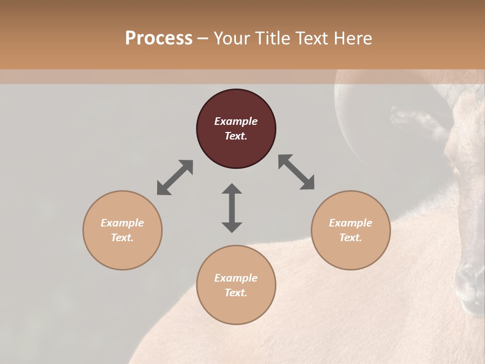 Mammal Ungulate Male PowerPoint Template