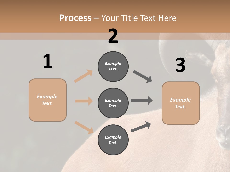 Mammal Ungulate Male PowerPoint Template