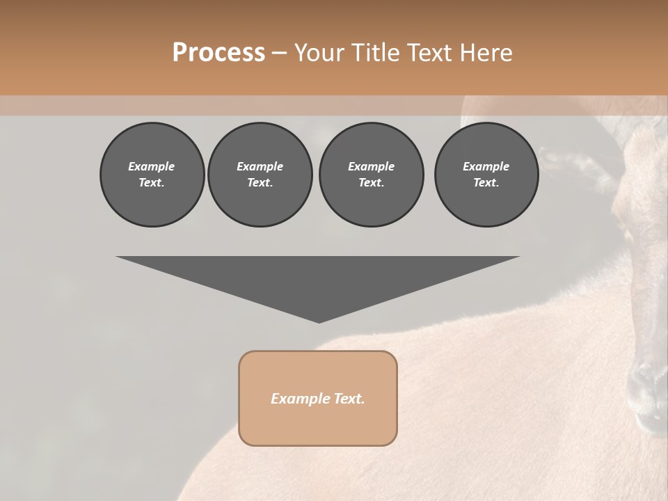 Mammal Ungulate Male PowerPoint Template