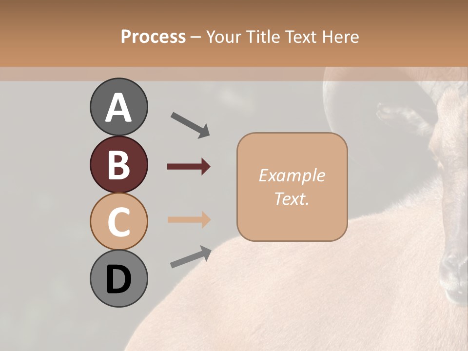 Mammal Ungulate Male PowerPoint Template