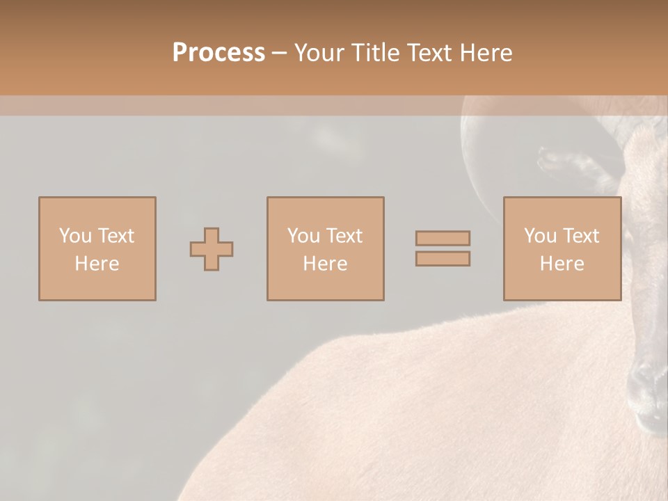 Mammal Ungulate Male PowerPoint Template