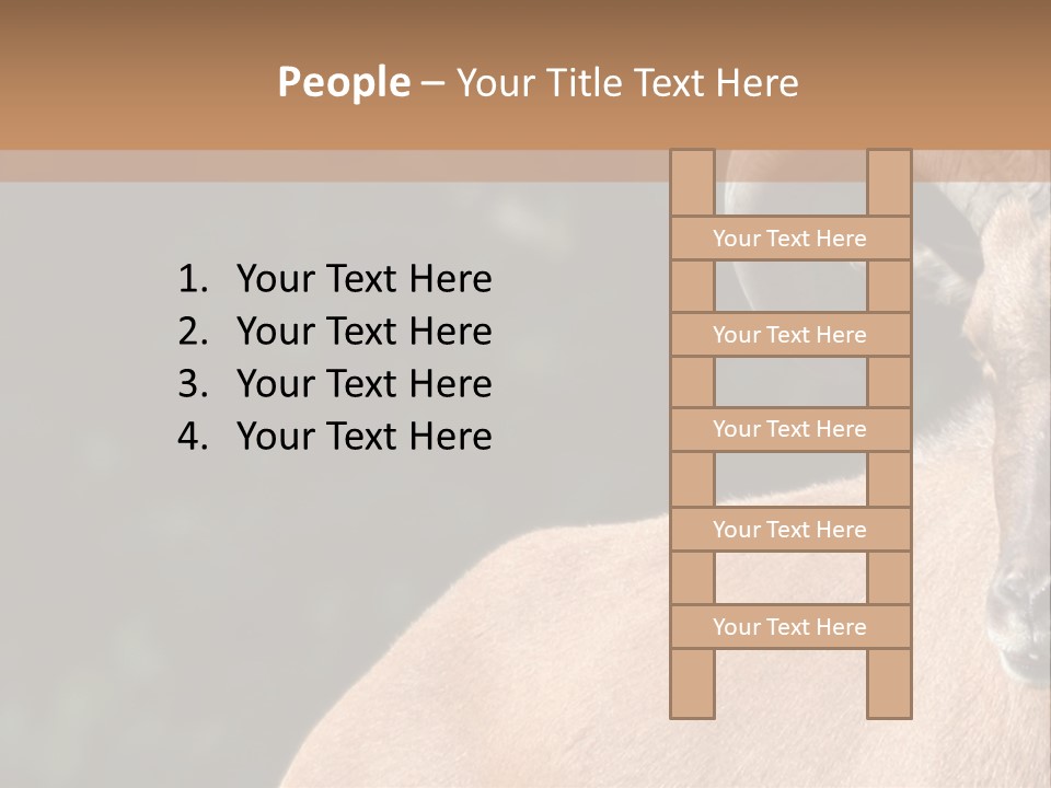 Mammal Ungulate Male PowerPoint Template