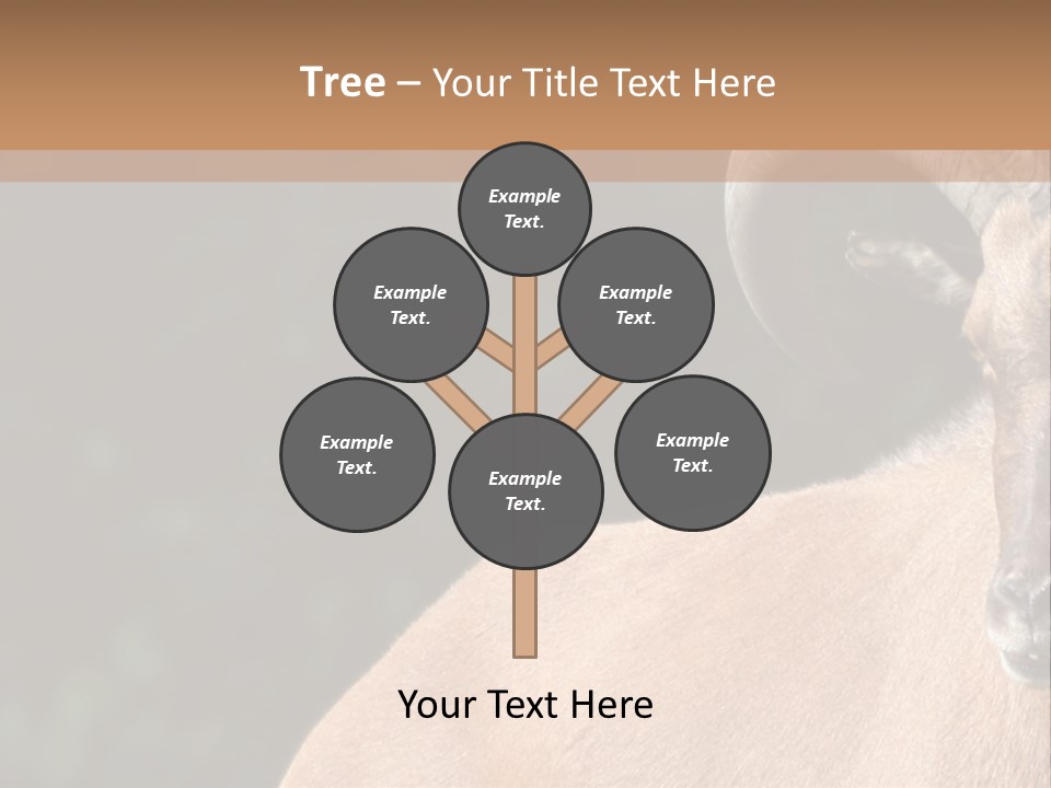 Mammal Ungulate Male PowerPoint Template