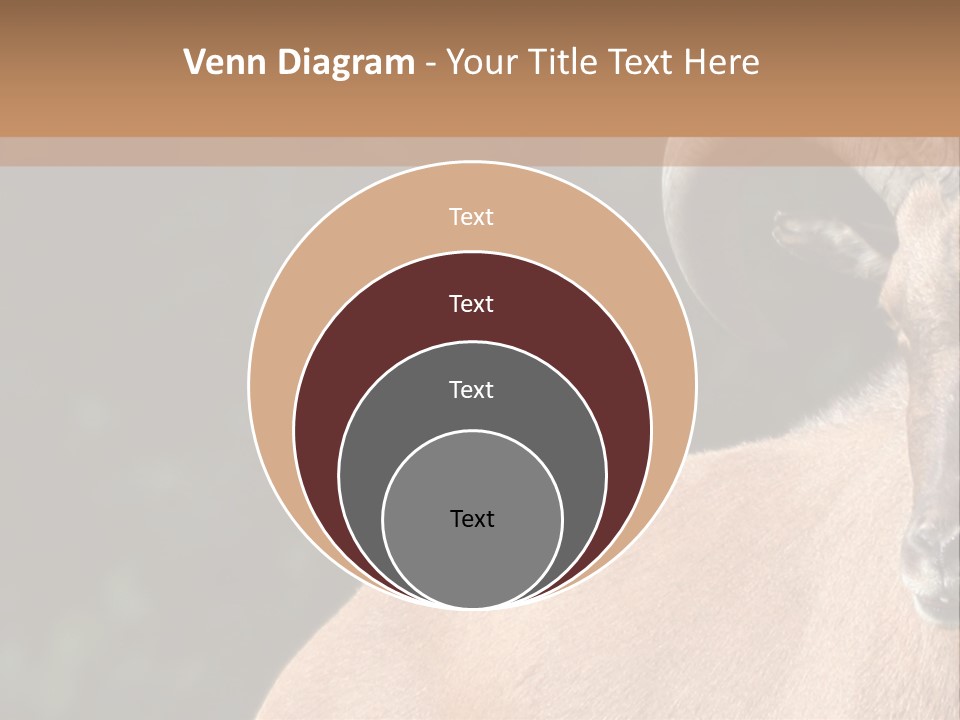 Mammal Ungulate Male PowerPoint Template