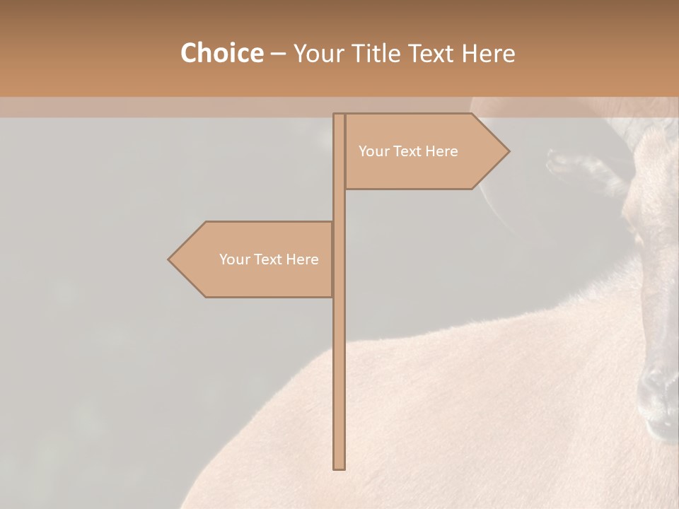 Mammal Ungulate Male PowerPoint Template