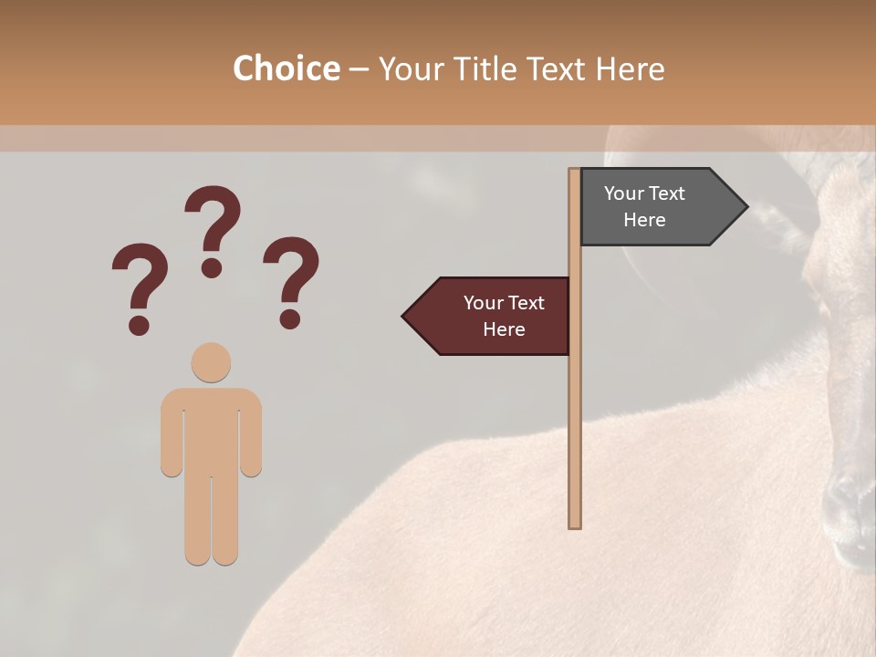 Mammal Ungulate Male PowerPoint Template